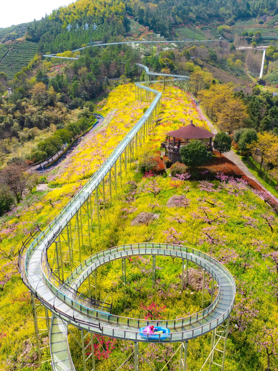 不在婺源，在湖州，坐上开往春天的漫画小火车