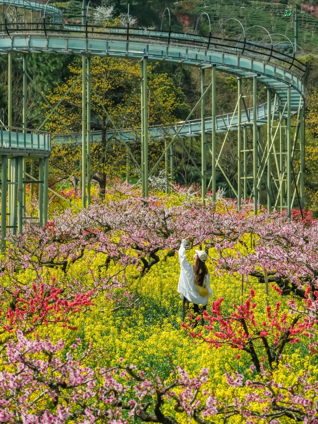 🌸千亩桃花坠入仙境｜城山沟乐园嗨翻天