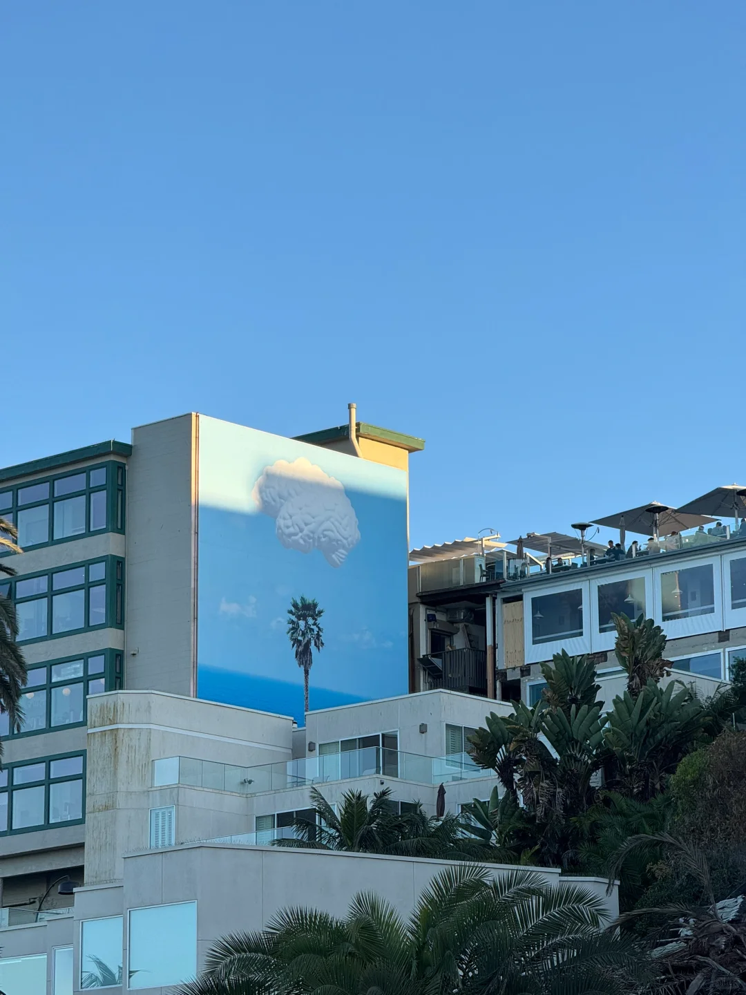 美国｜圣地亚哥La Jolla Cove🦭海狮太可爱啦