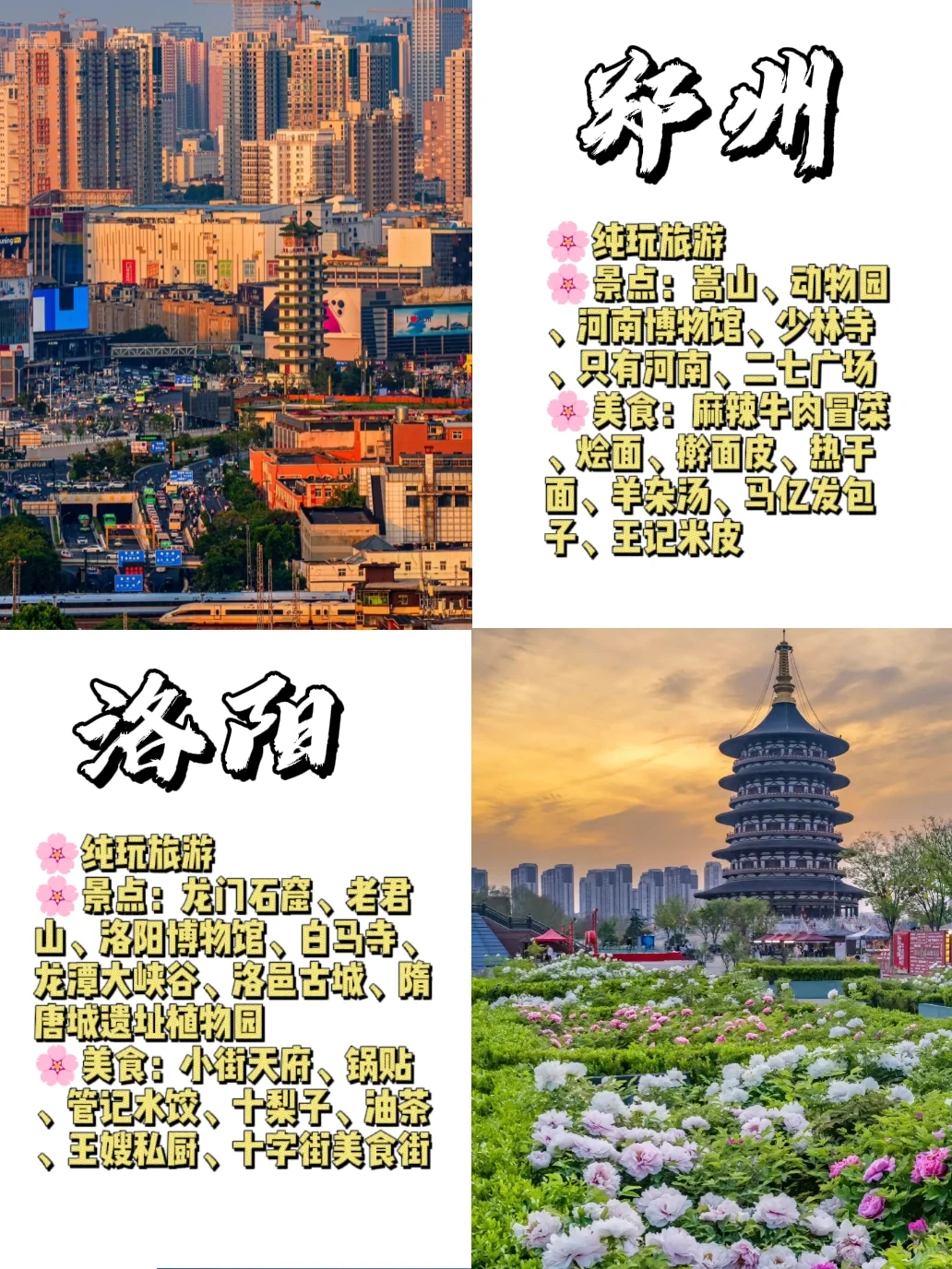 河南‼️你到底还有多少惊喜是我不知道的