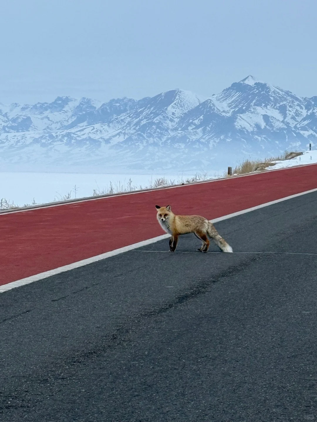 3.18📍赛里木湖已回，live实况直出，劝退不了