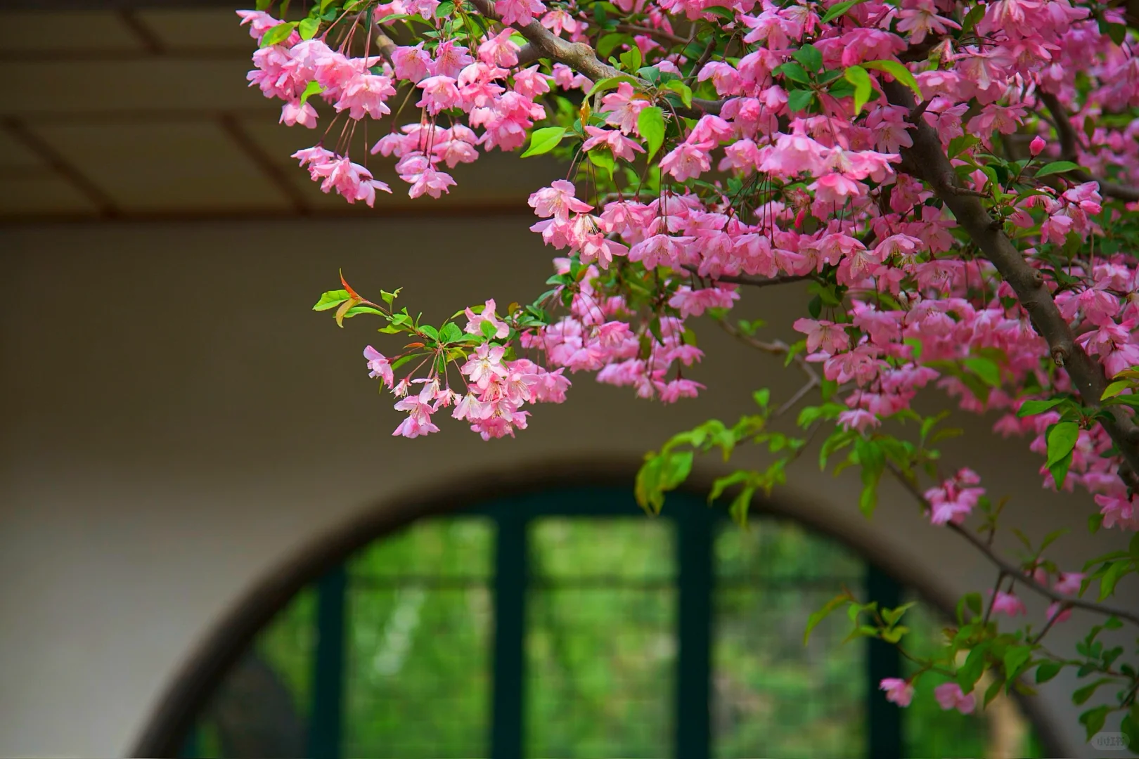 ❤️你好，趵突泉！