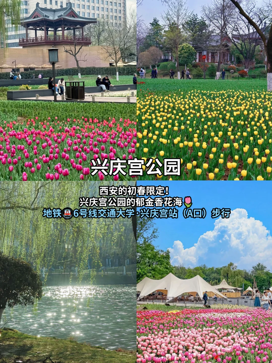 西安小众公园｜人少景美，逛出高级感