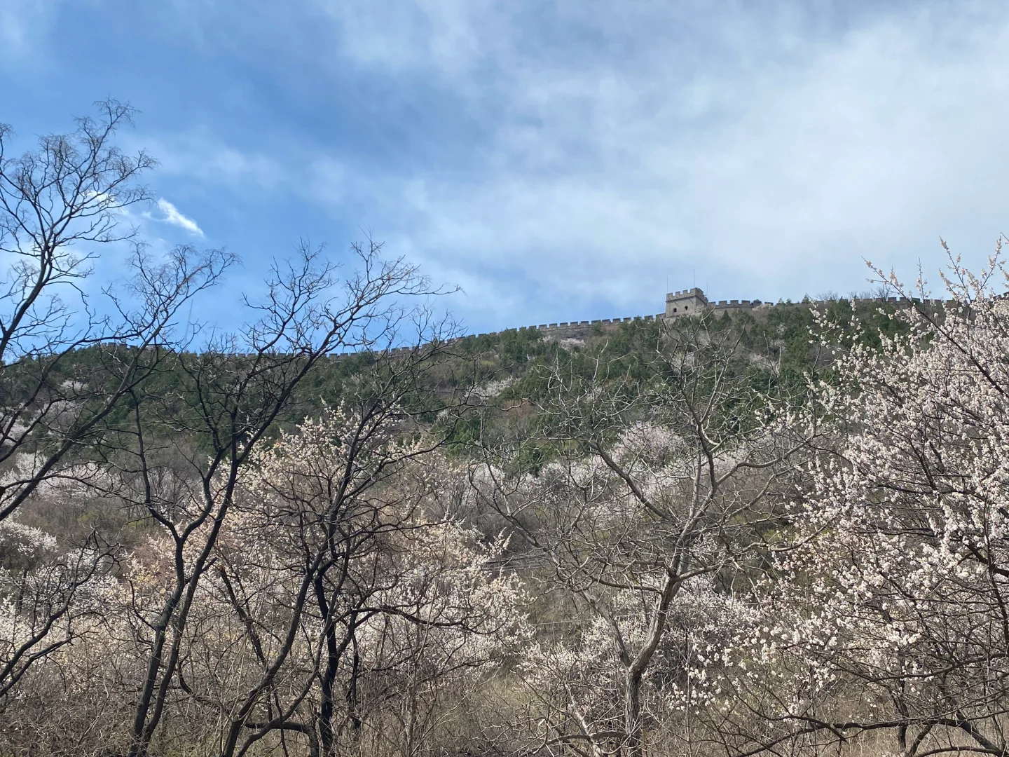 居庸关花海小火车手机原图直出03/29