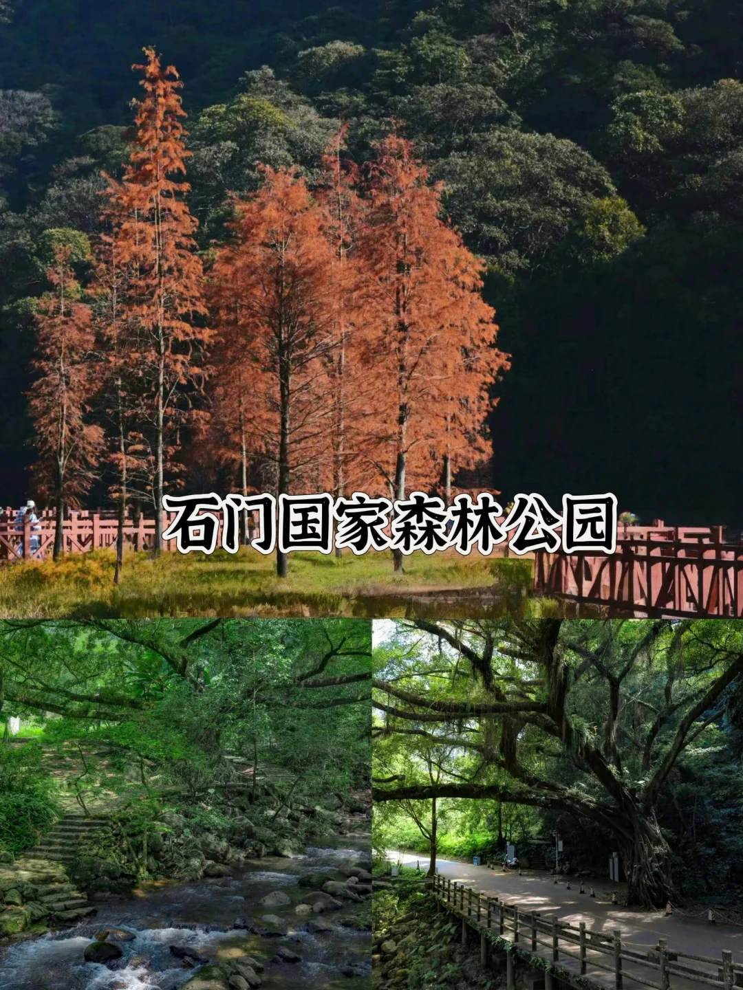 从化必打卡景点|超全面!本地人带你玩转从化