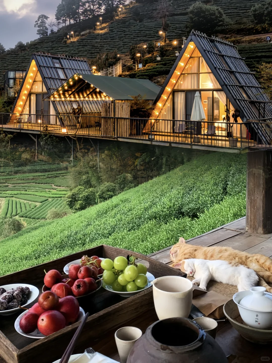 广东小瑞士🇨🇭跟家人来住了三次😭不想走