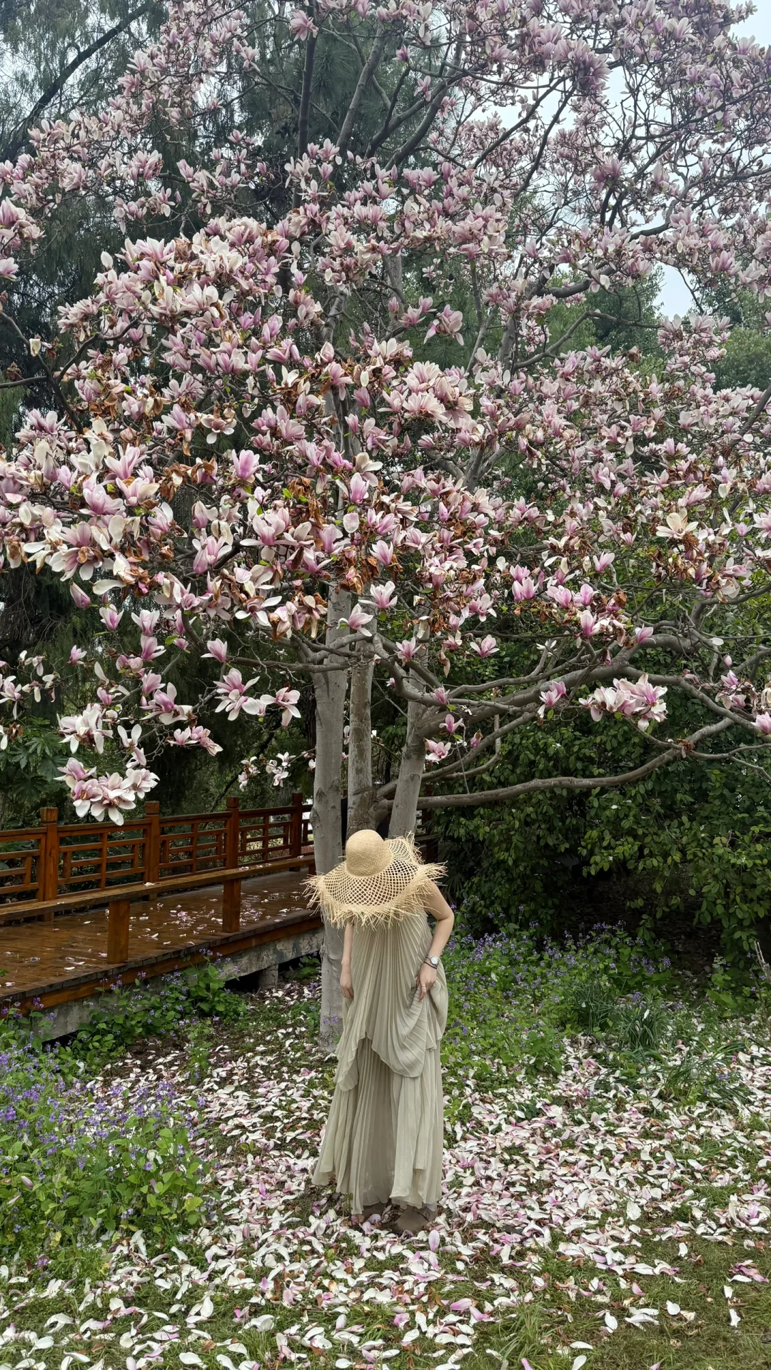 东湖🩵13元门票分分钟拍出人生照片