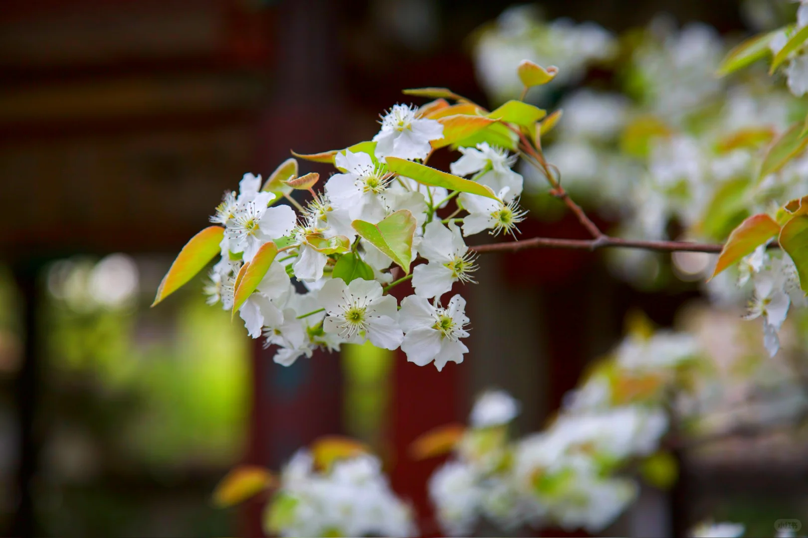 ❤️你好，趵突泉！