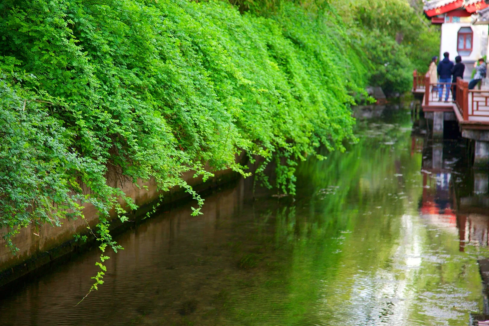 ❤️你好，趵突泉！