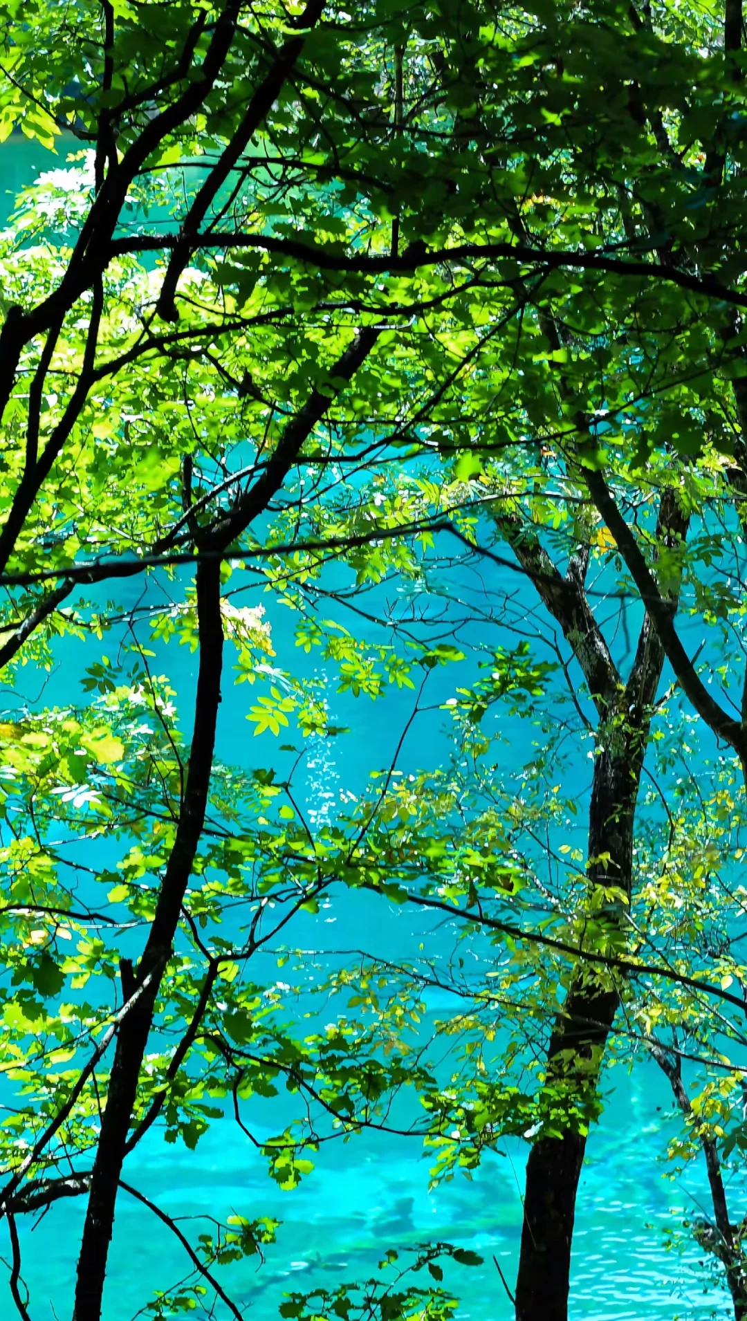 原图直出的人间仙境，不愧是5A级景区天花板