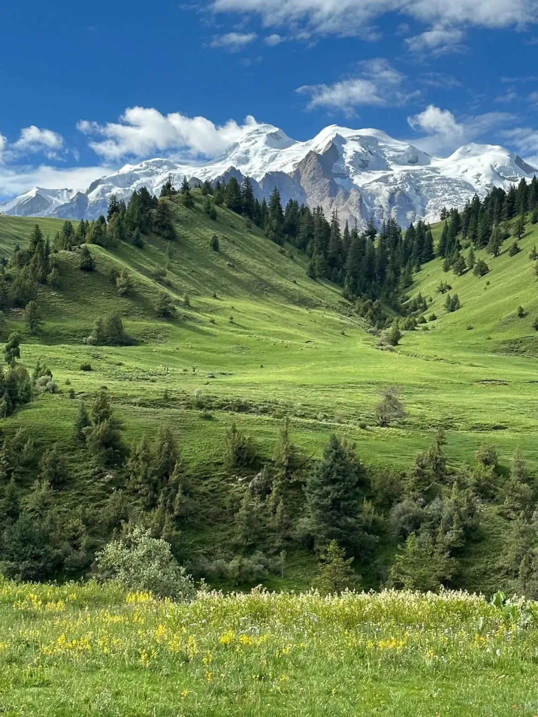 真不是瑞士!川西的夏天才是人间绝美