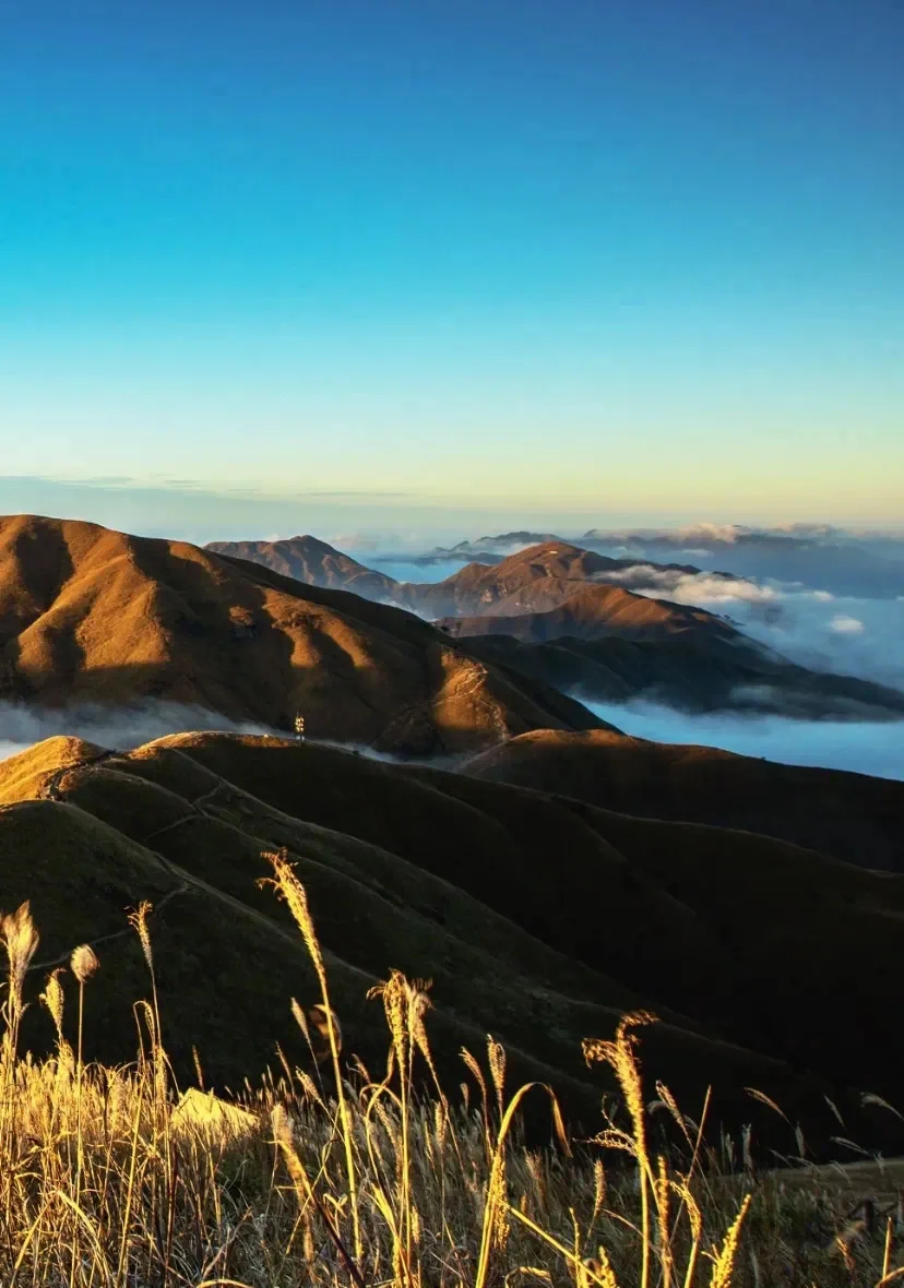听劝👂2-3月来武功山的姐妹请🐴住！！！