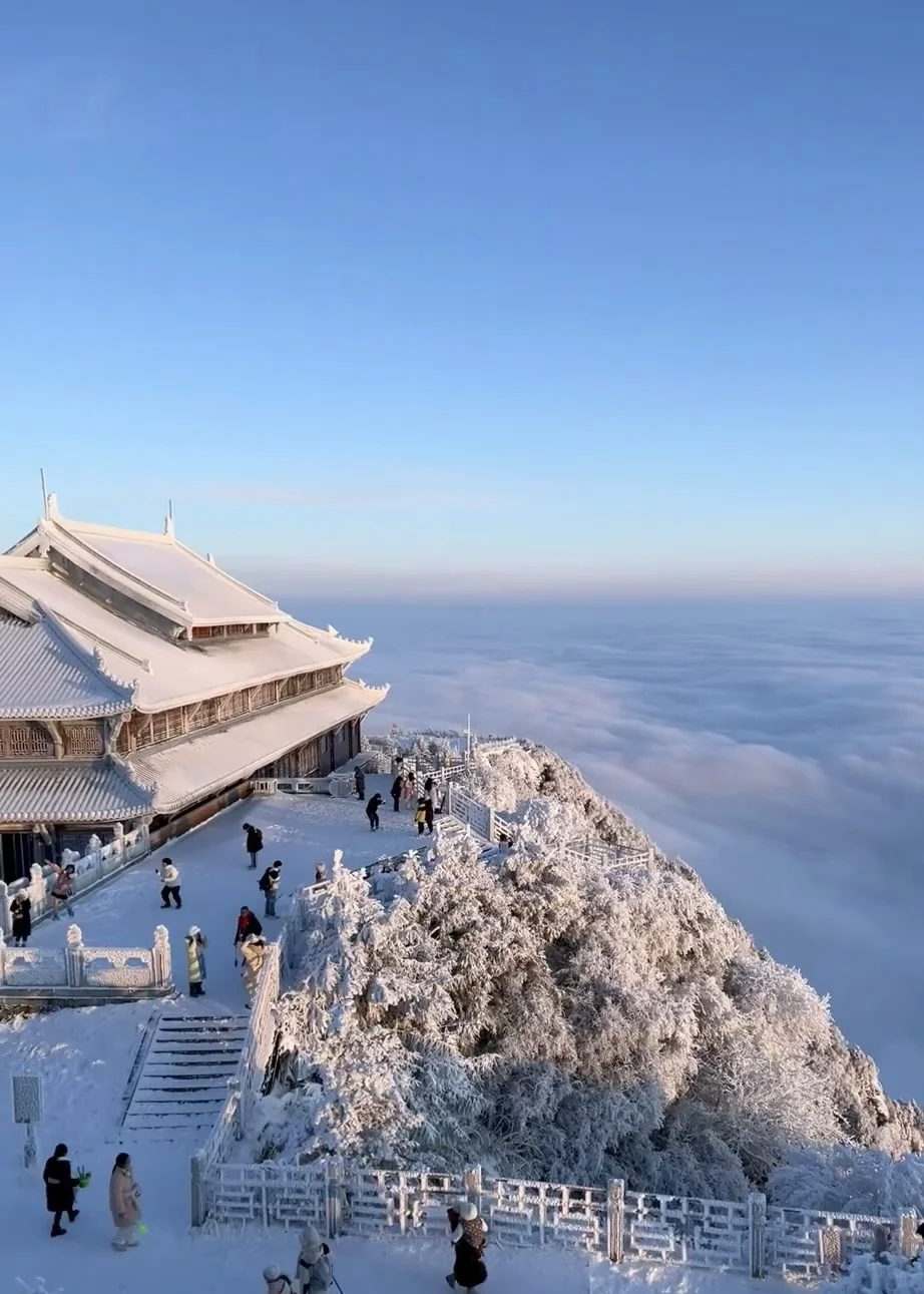 乐山大佛,峨眉山都去了,来听听我的个人感受