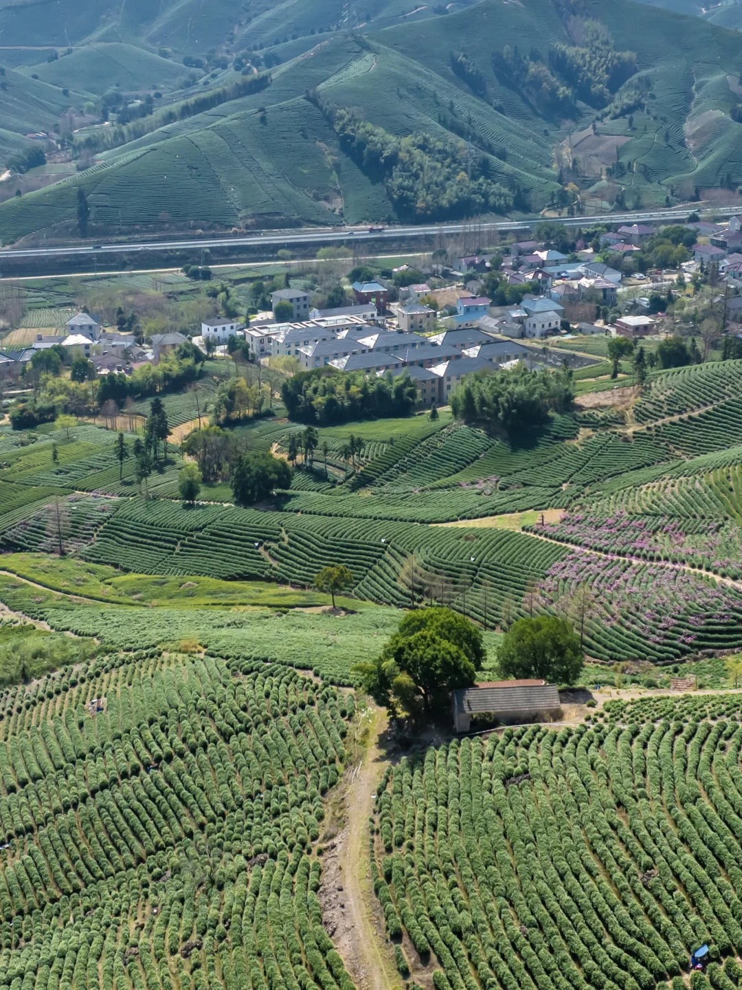 🌸千亩桃花坠入仙境｜城山沟乐园嗨翻天