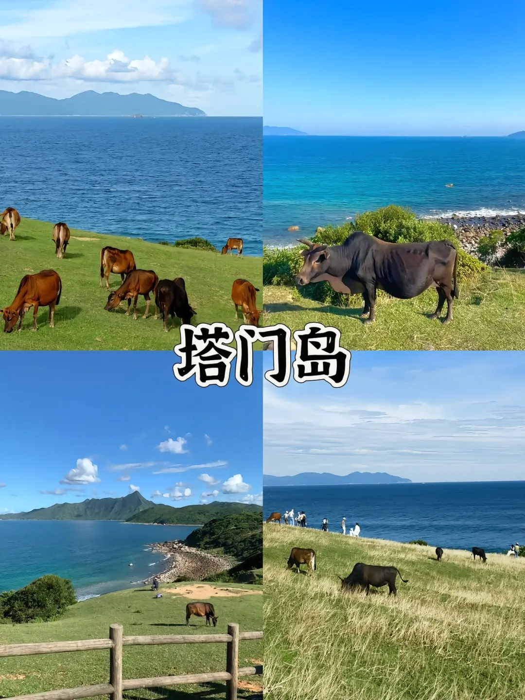 香港本地人必去打卡的十大景点🔥