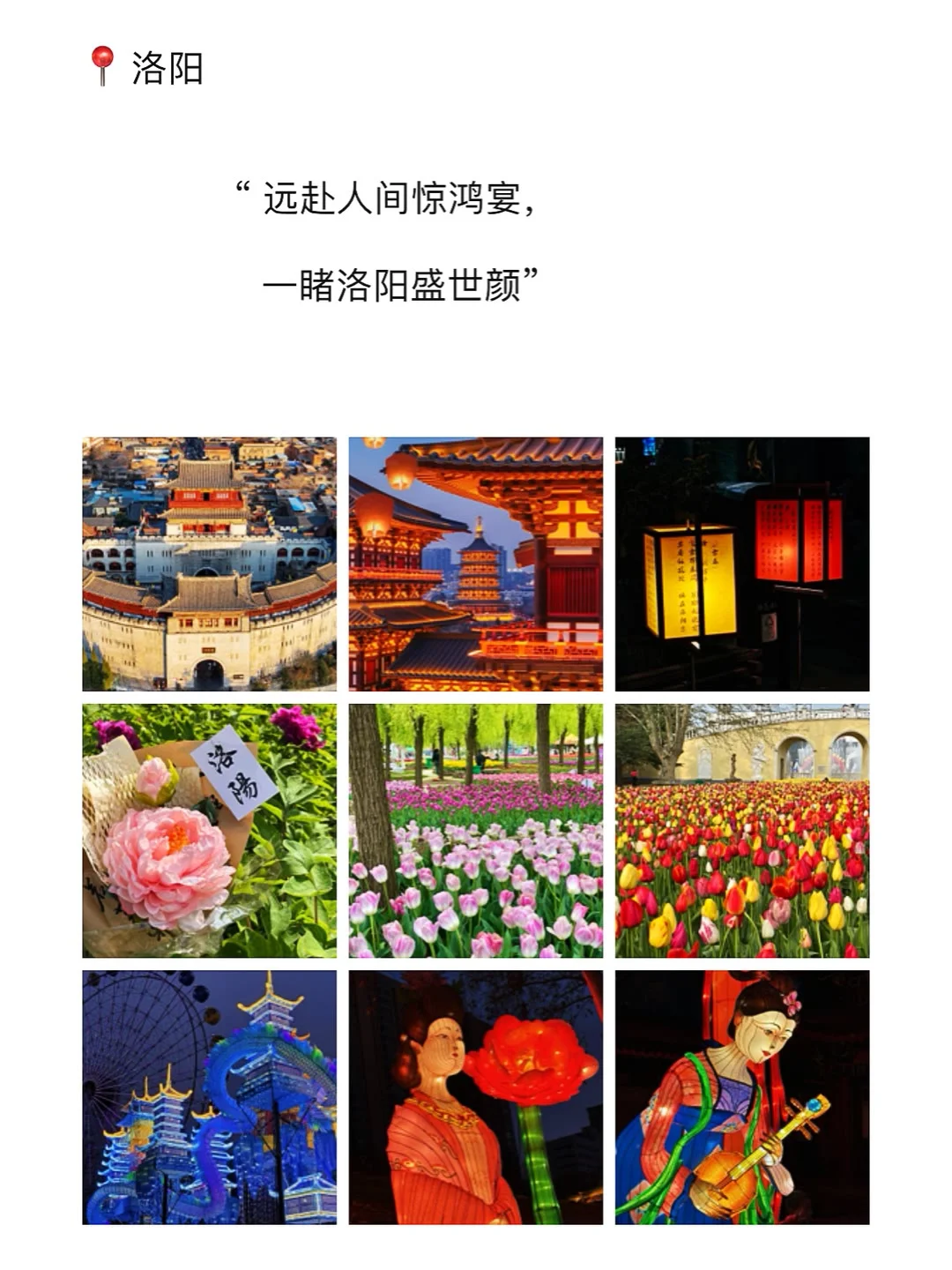 四月洛阳封神！一生必去的宝藏地‼️