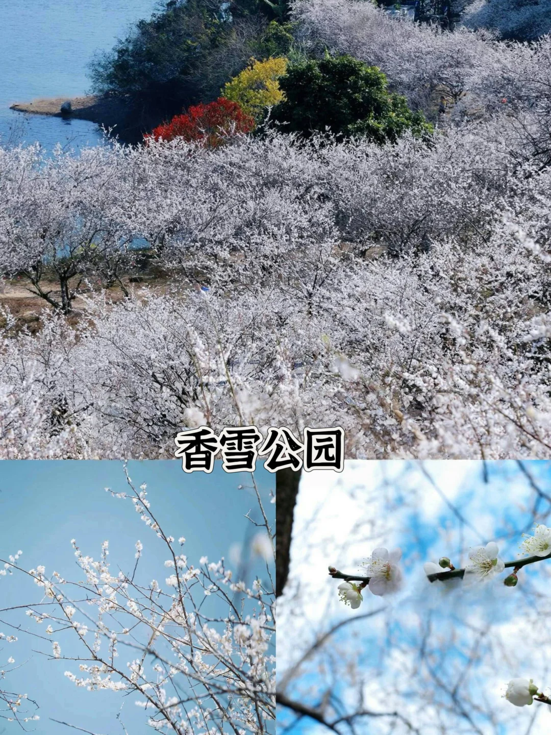 从化必打卡景点|超全面!本地人带你玩转从化