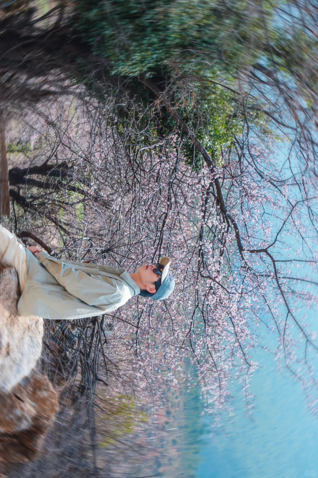 来香格里拉告别景点 来桃源秘境约拍吧❗️