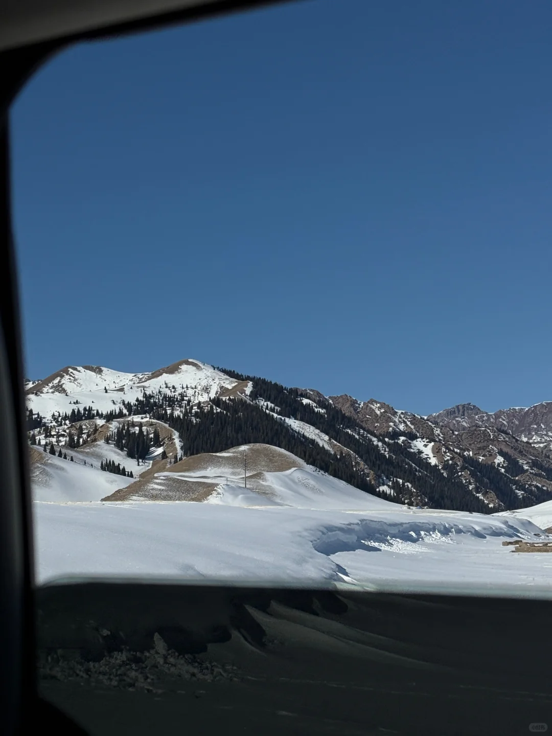 3.18📍赛里木湖已回，live实况直出，劝退不了