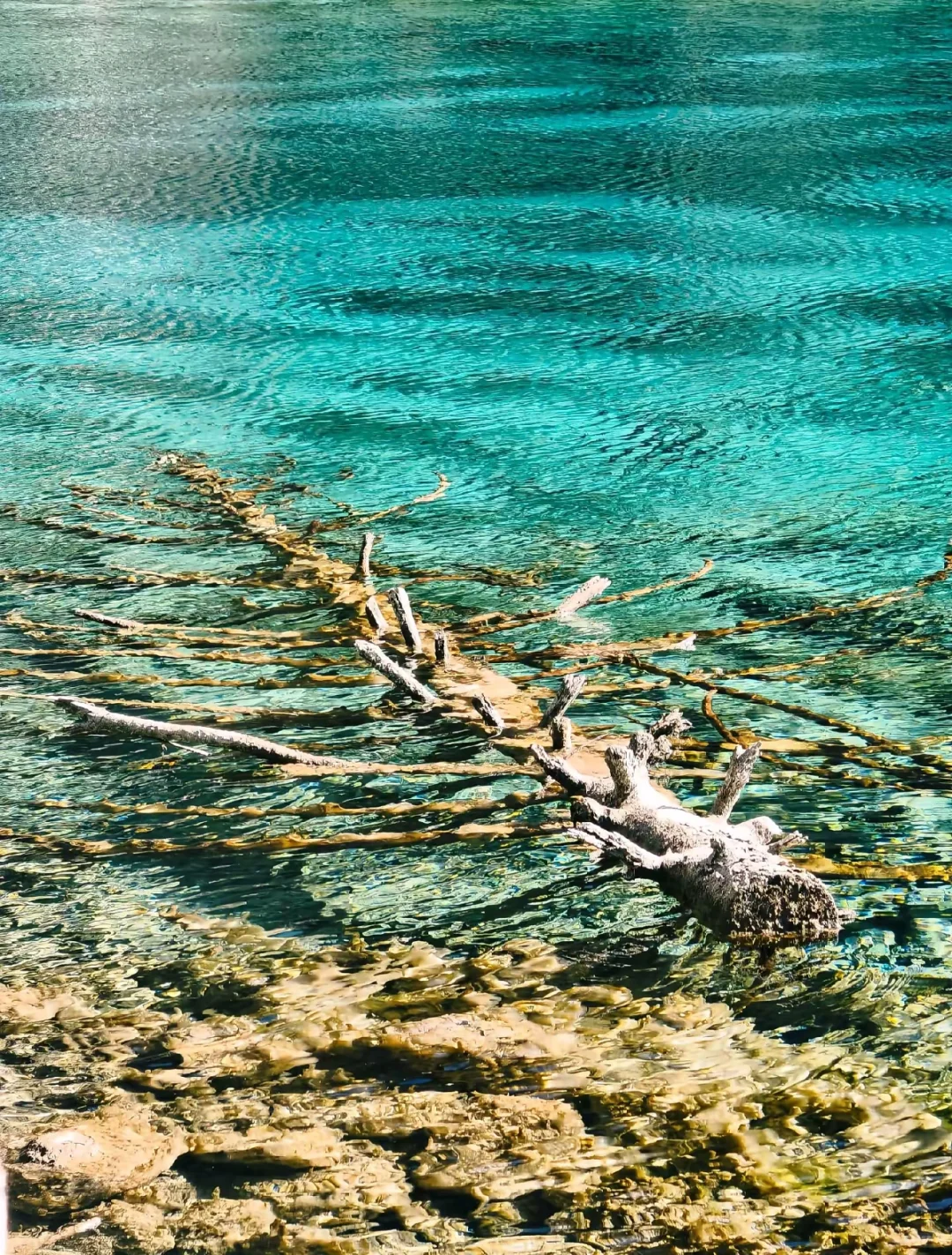 原图直出的人间仙境，不愧是5A级景区天花板