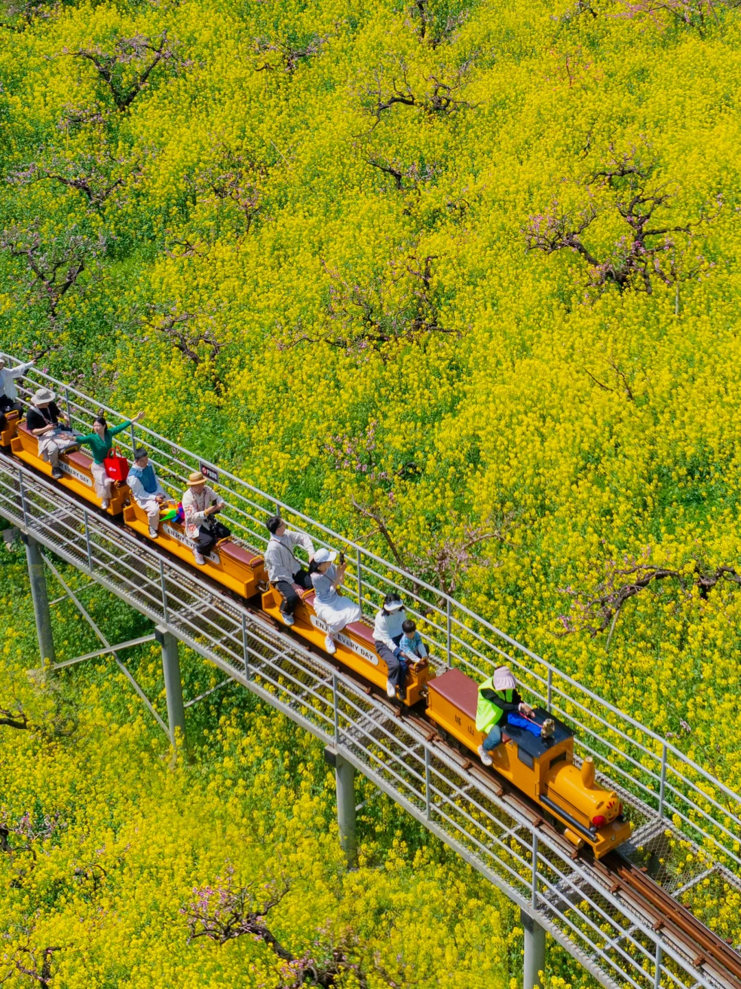 不在婺源，在湖州，坐上开往春天的漫画小火车