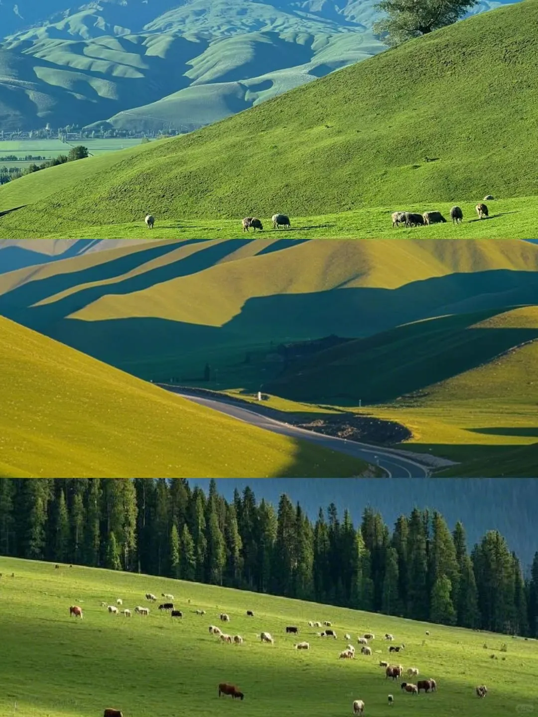 7天6晚伊犁环线攻略你得看这篇👉