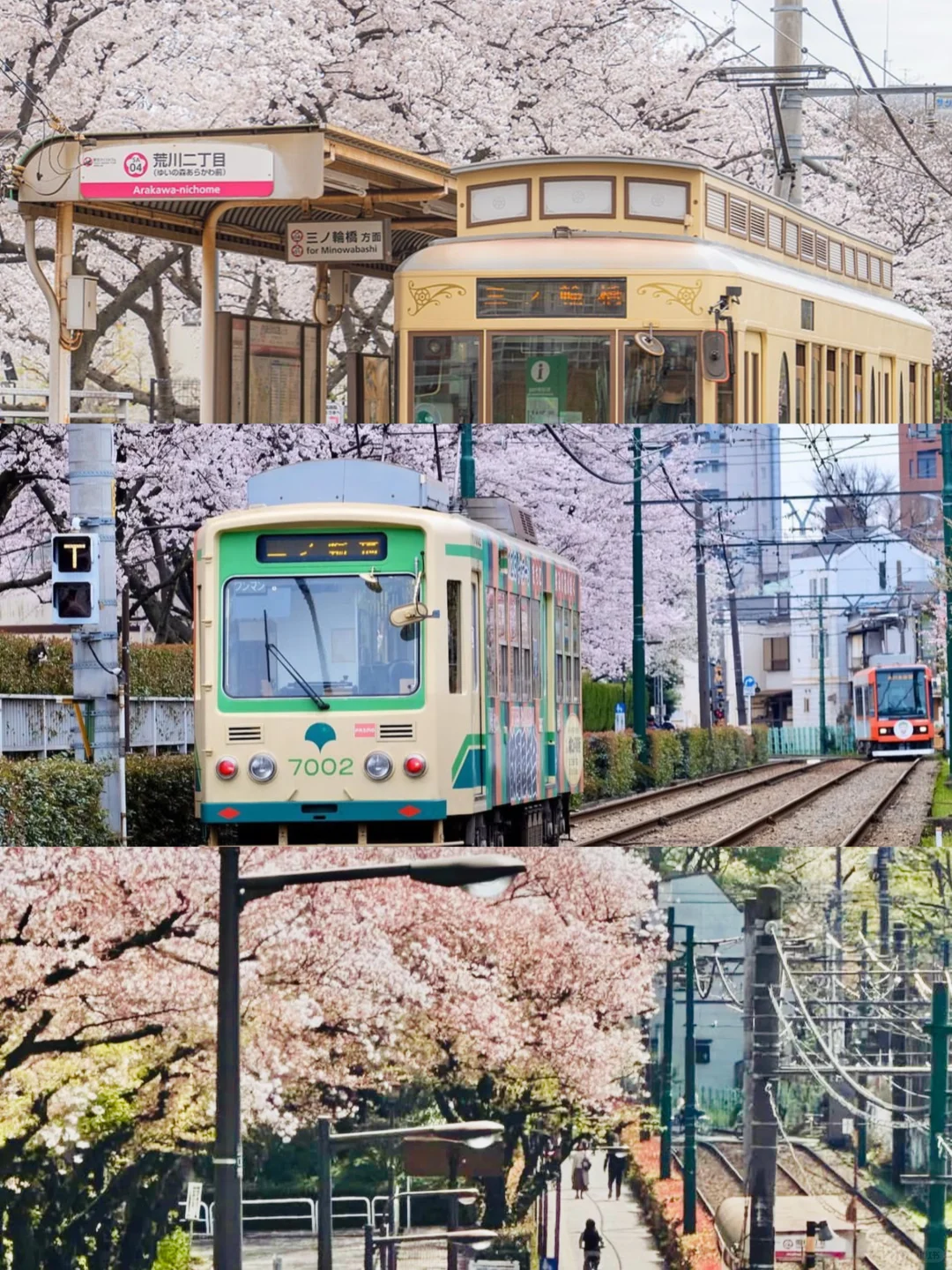 东京赏樱｜樱花季不要错过的5个小众赏樱地🌸