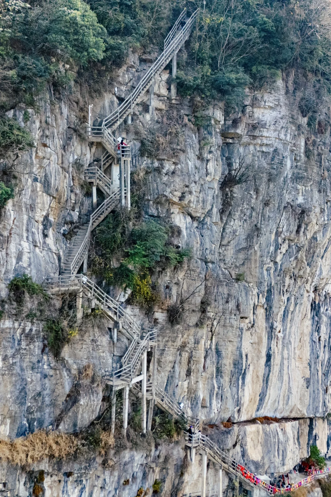 四川春日徒步天花板!爬悬崖天梯赏辛夷花海