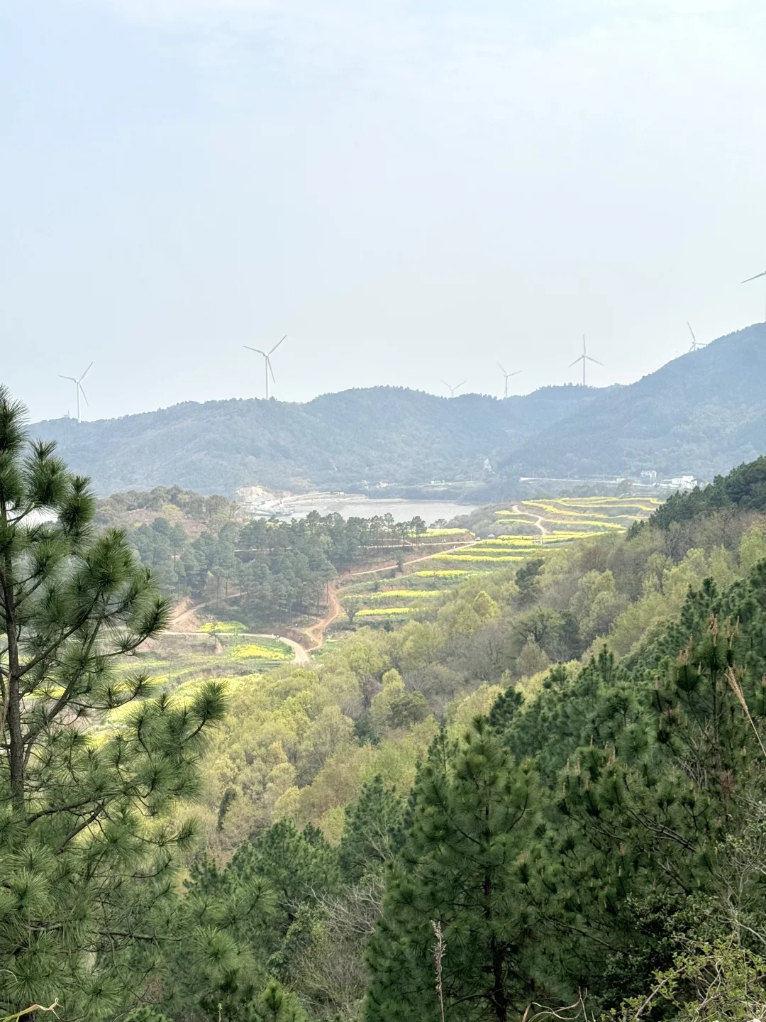 不要太追求小众景点