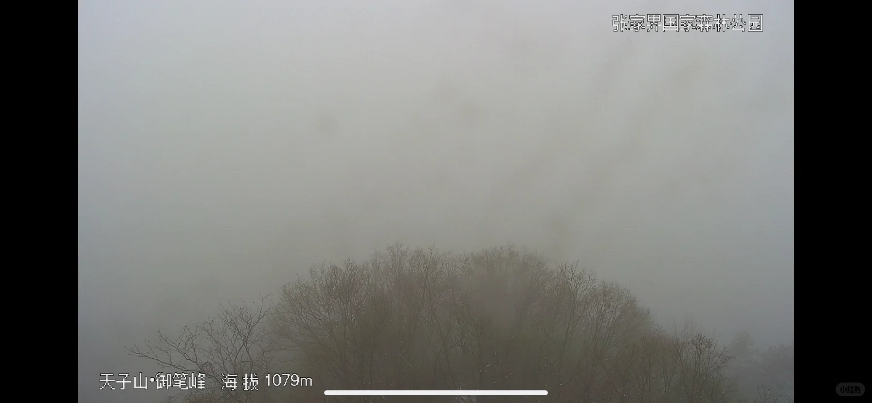 张家界景区实况2025年3月29日