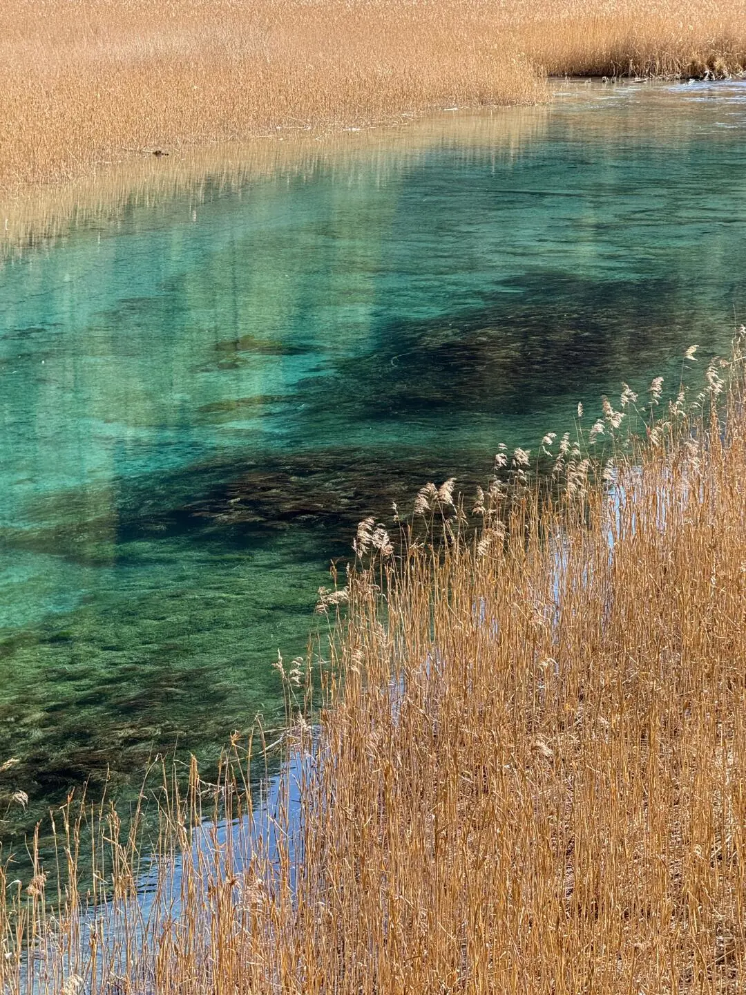 九寨沟旺季要到来，给未出行的姐妹提个醒⚠️
