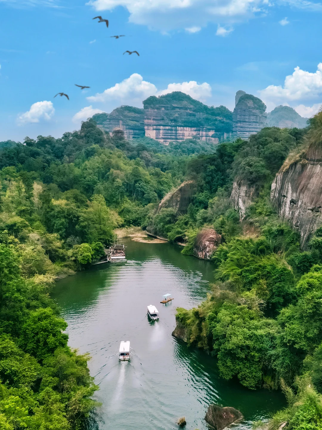 后悔才来❗广州周边，被严重低估的仙山⛰️