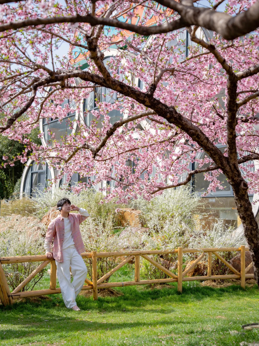 不在婺源，在湖州，坐上开往春天的漫画小火车