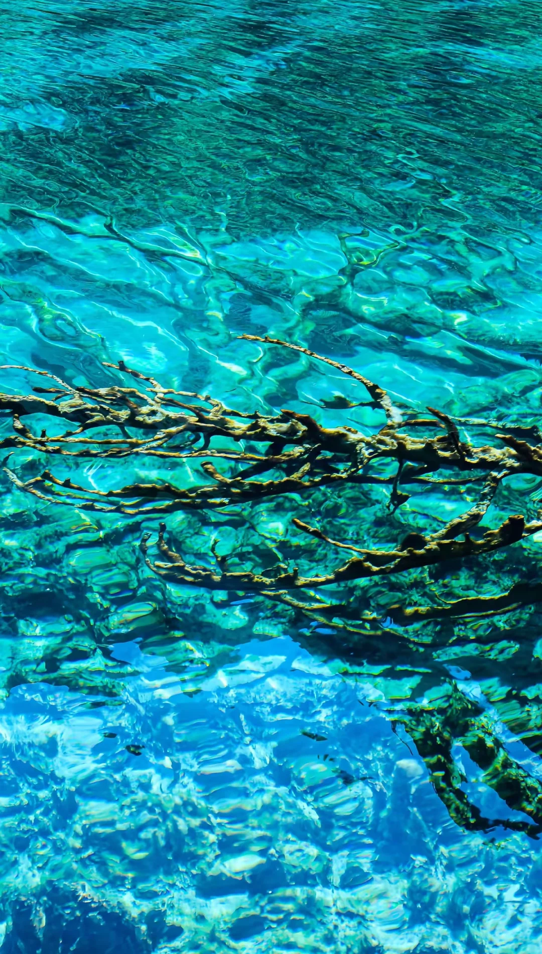 原图直出的人间仙境，不愧是5A级景区天花板