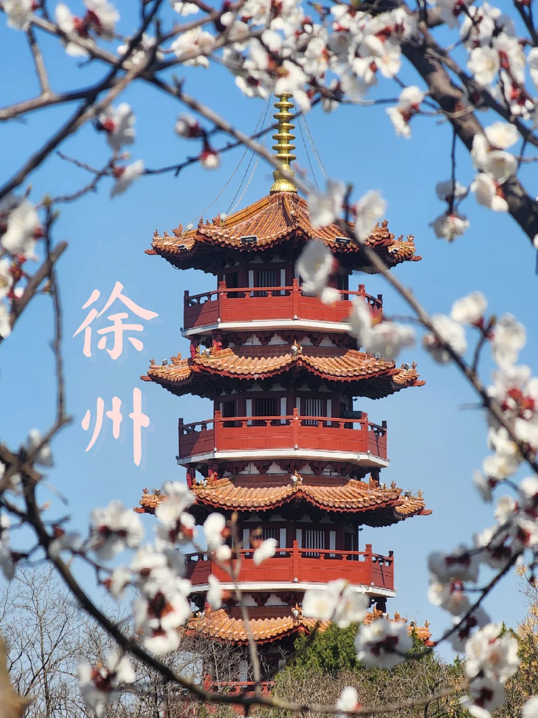 徐州花开这么好看你怎么也不宣传呢