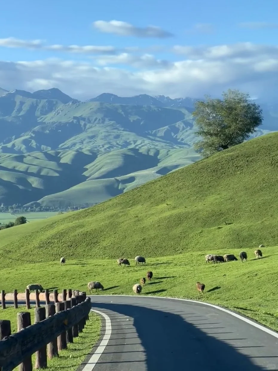 💬“新疆的辽阔，是连风都自由的地方。”