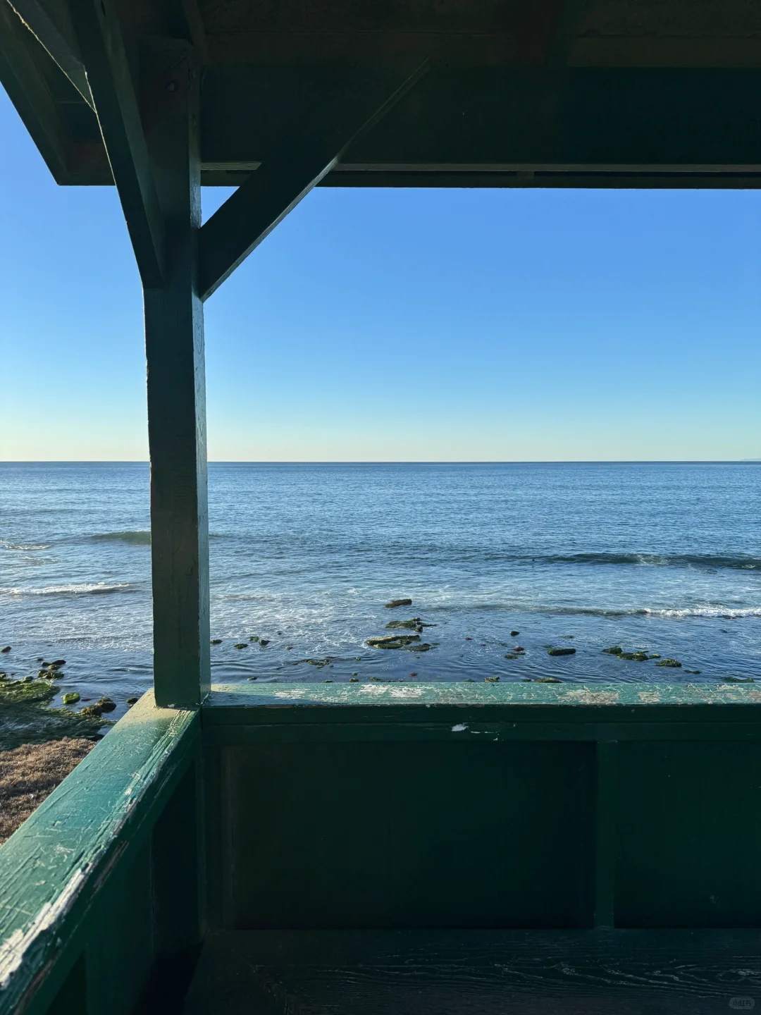 美国｜圣地亚哥La Jolla Cove🦭海狮太可爱啦