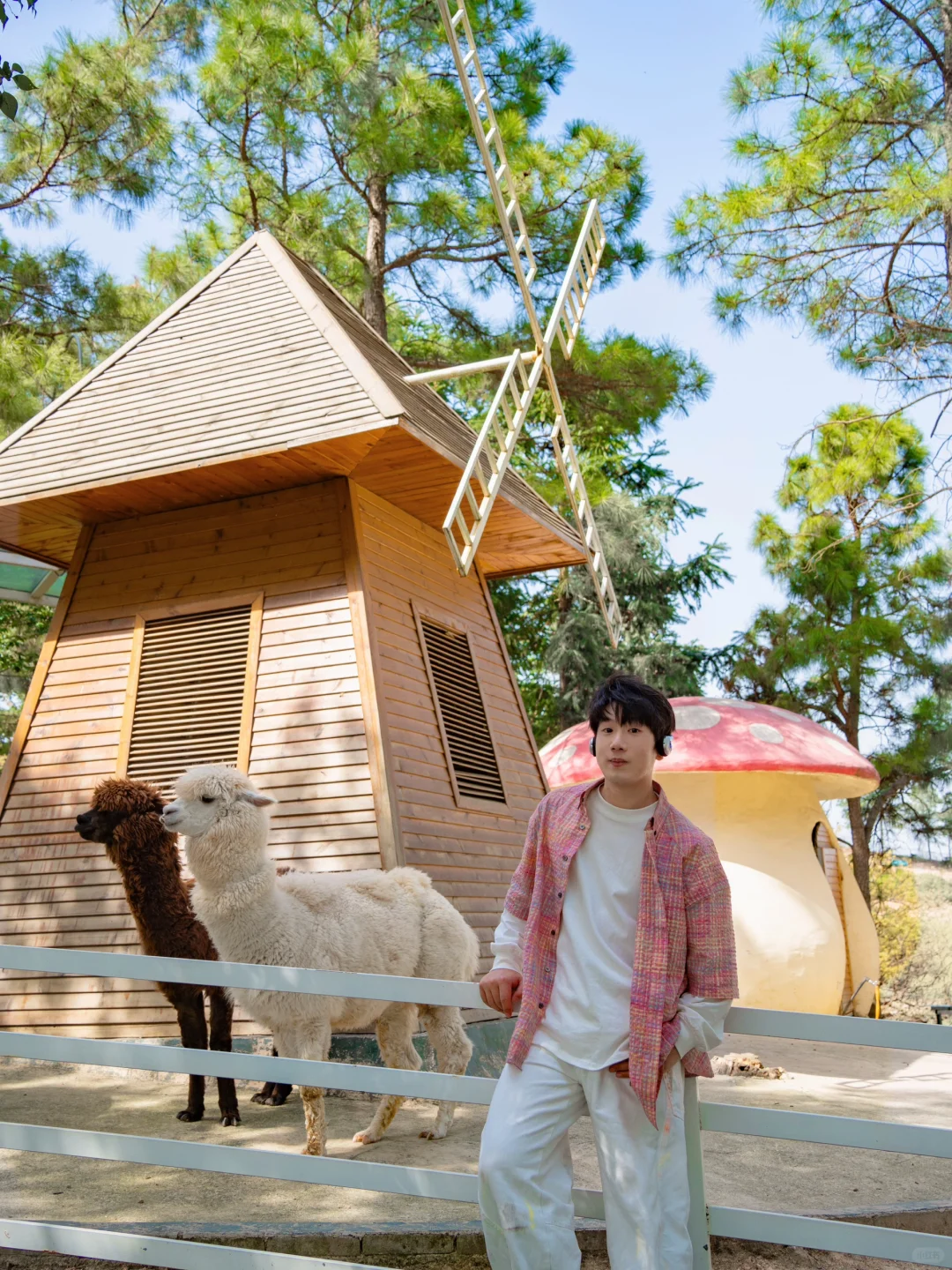 不在婺源，在湖州，坐上开往春天的漫画小火车