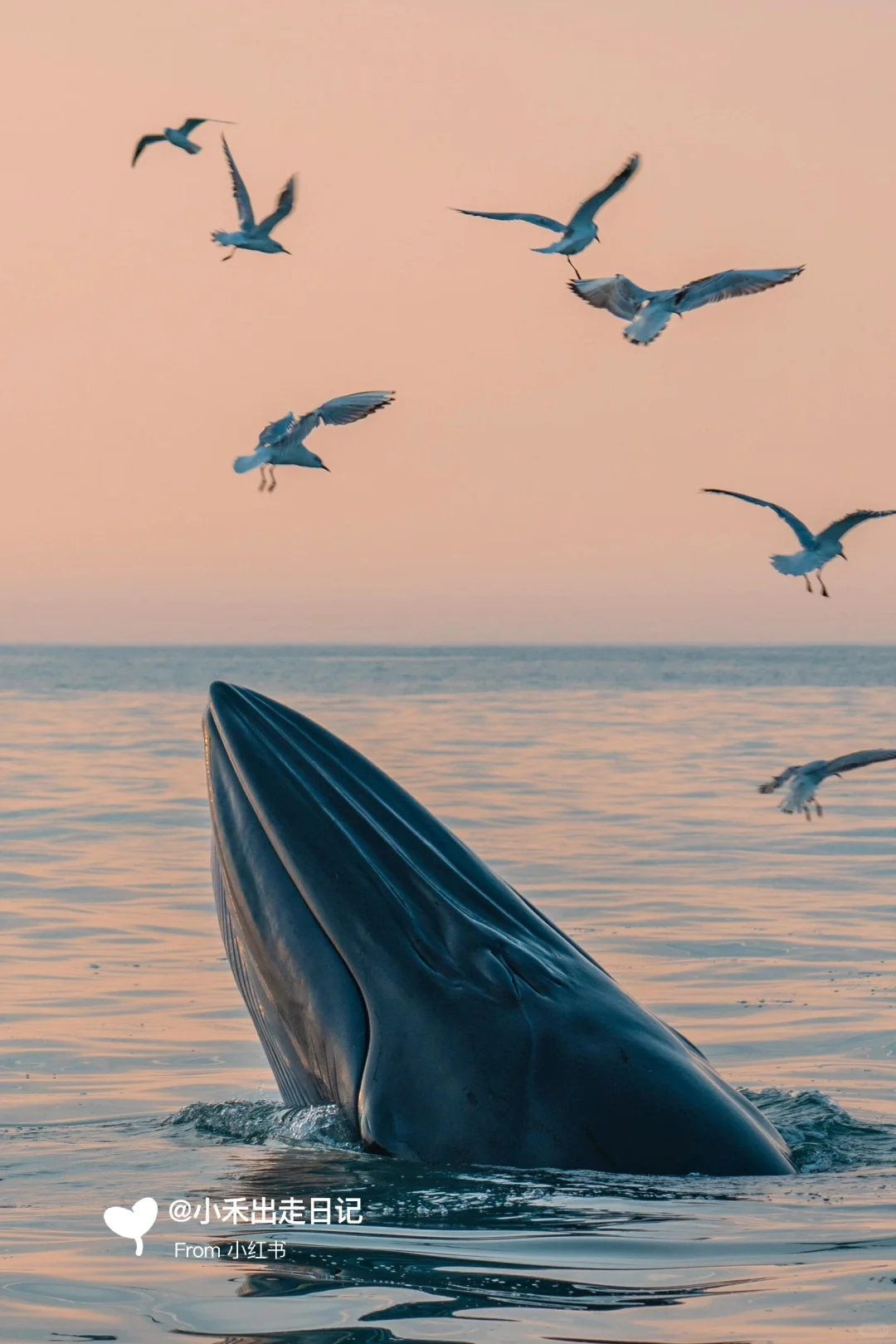 总要去趟广西吧|桂林北海7天攻略