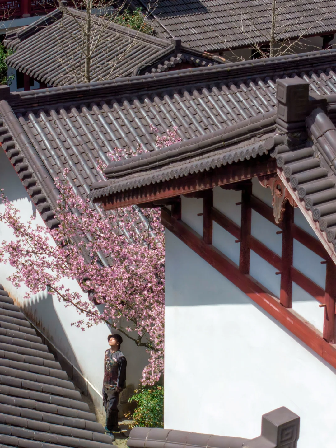 杭州上春山⛰️去大山深处赴一场天空之约☁️