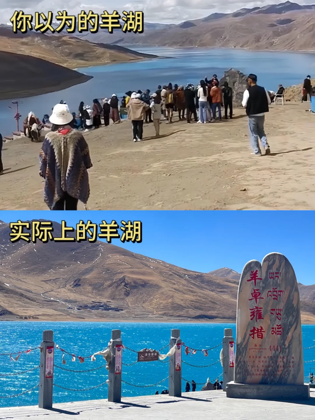 3.12📍西藏实况,不要再被网上骗了😭