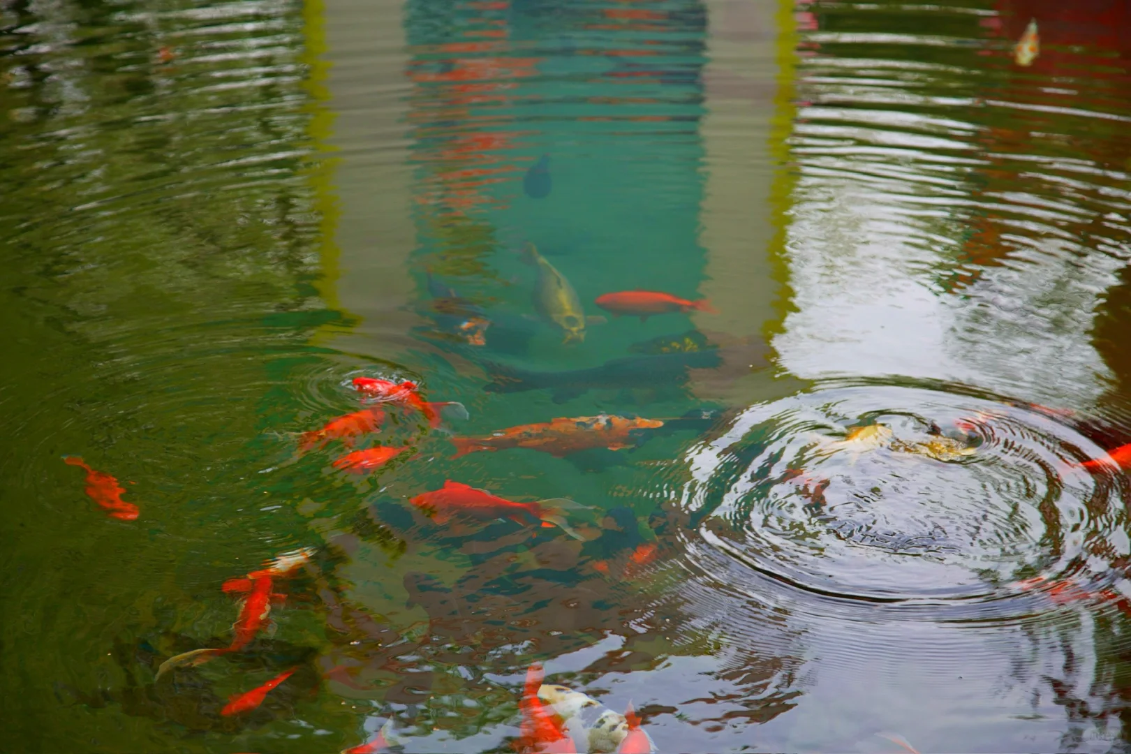 ❤️你好，趵突泉！