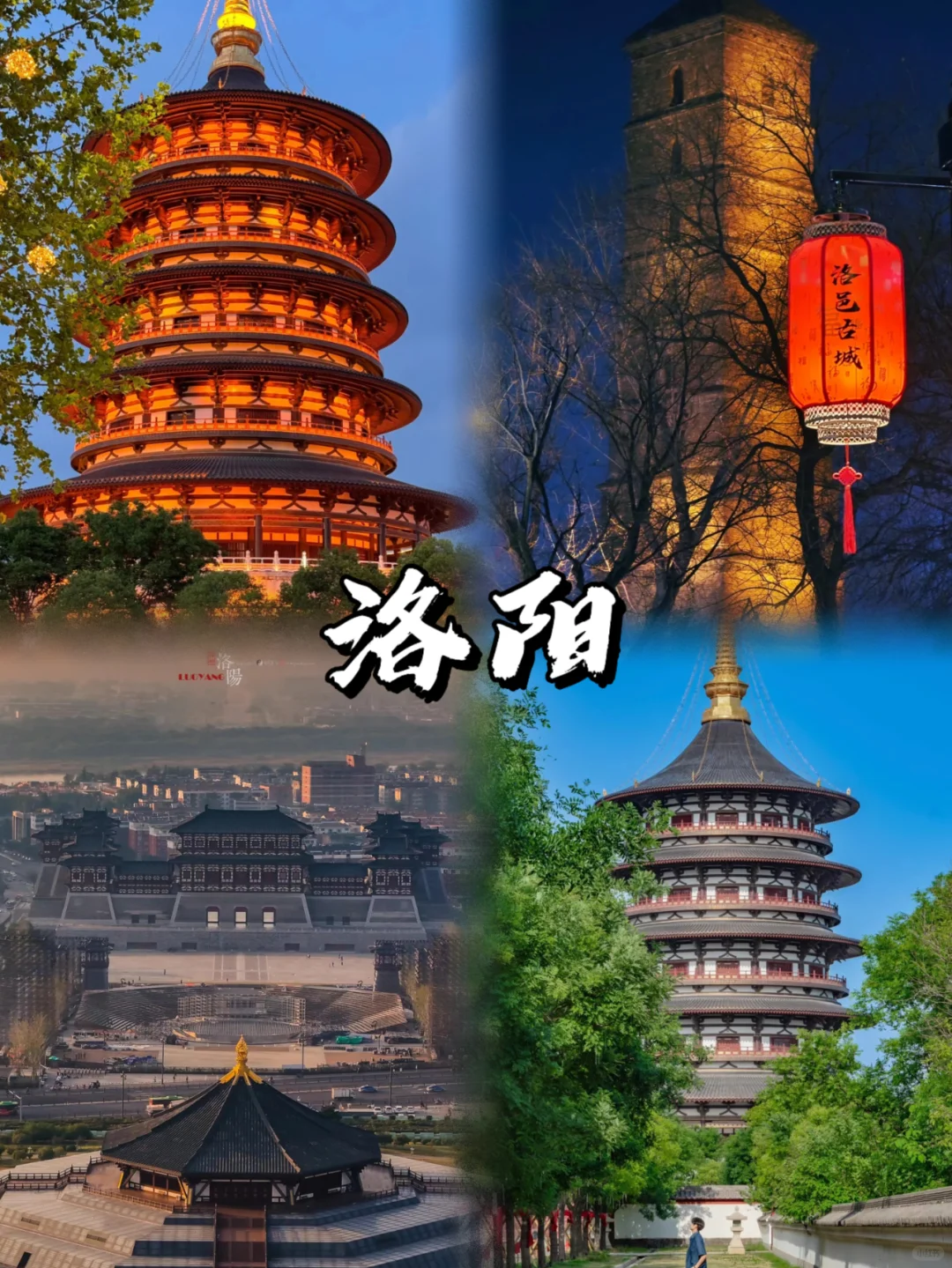 河南‼️你到底还有多少惊喜是我不知道的