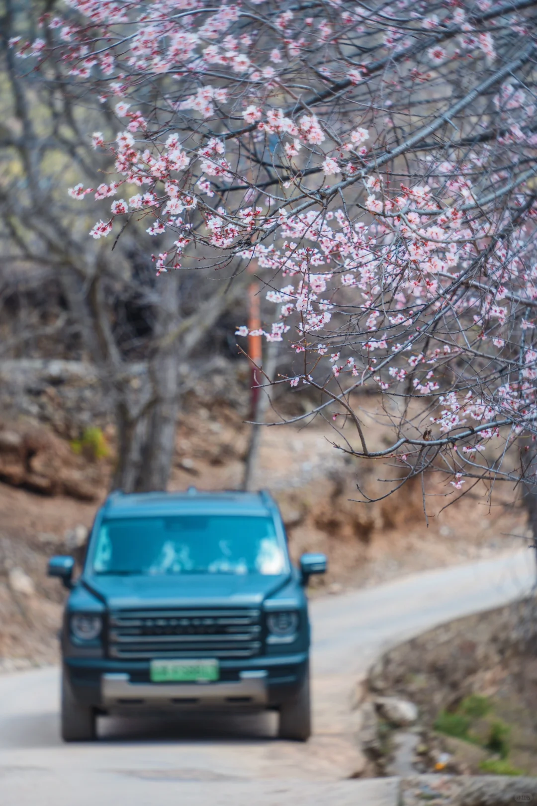 来香格里拉告别景点 来桃源秘境约拍吧❗️