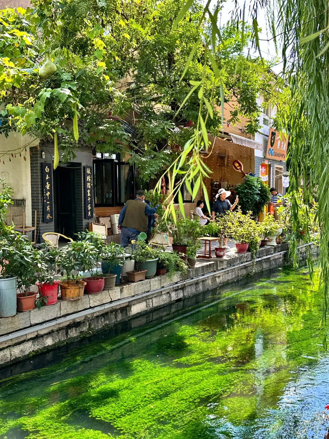 济南Citywalk保姆级攻略🚶♀️本地人私藏的