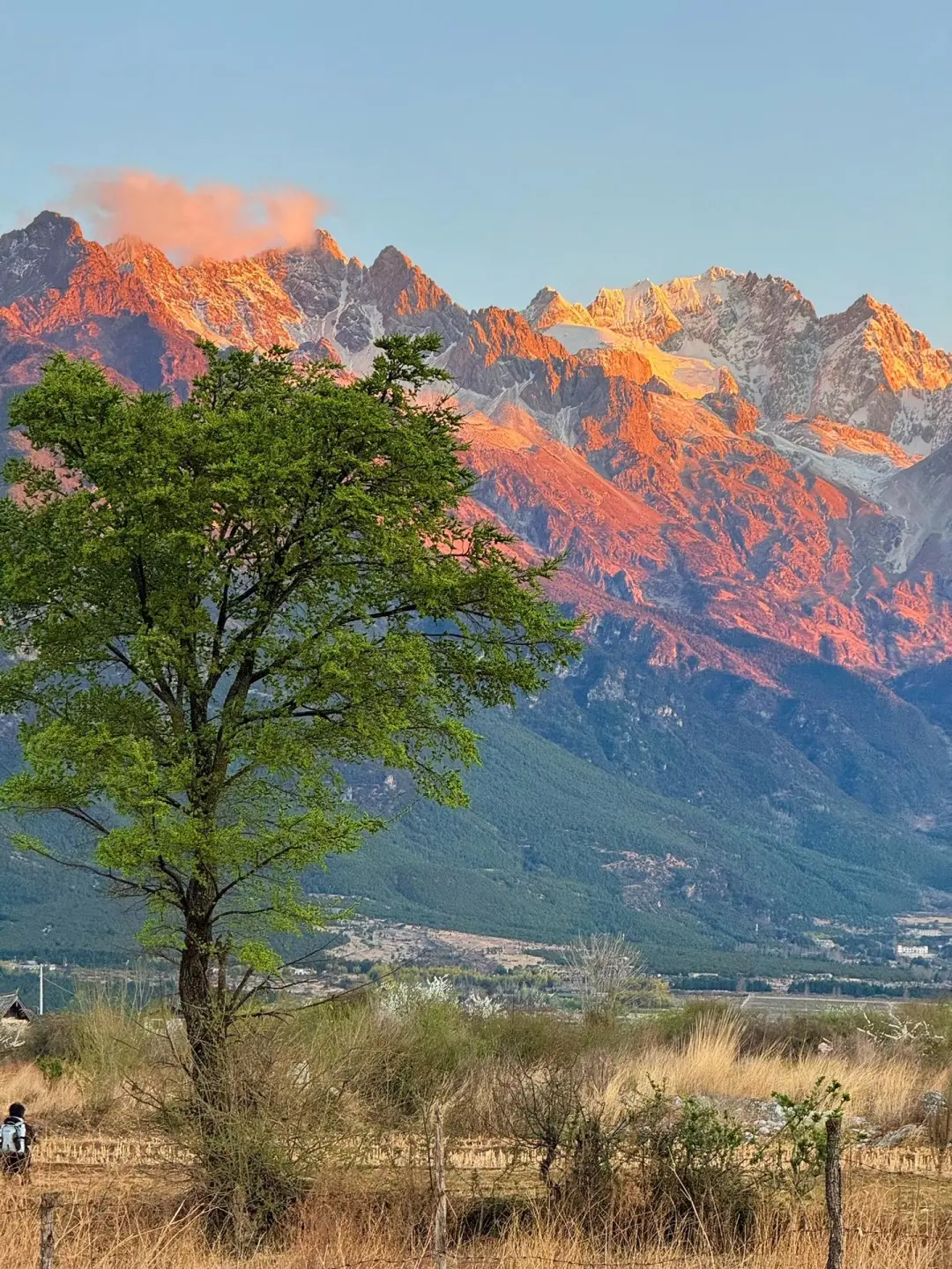 丽江小众打卡地❗打工人去班味的乌托邦🎪