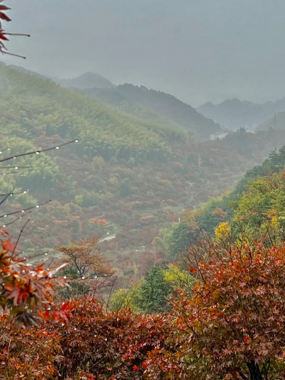 江浙沪周边游|4⃣️条春日路线,周末出发