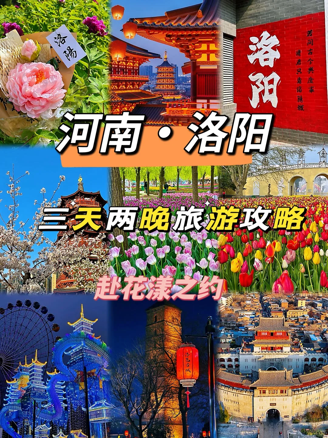 四月洛阳封神！一生必去的宝藏地‼️