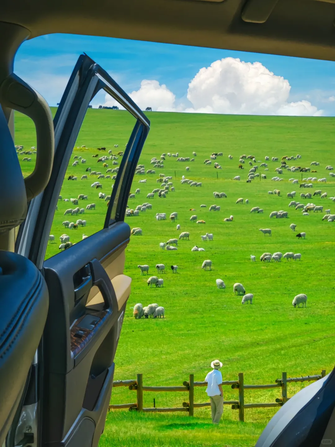 🚗《国家地理》评选出50个旅游打卡地🙋