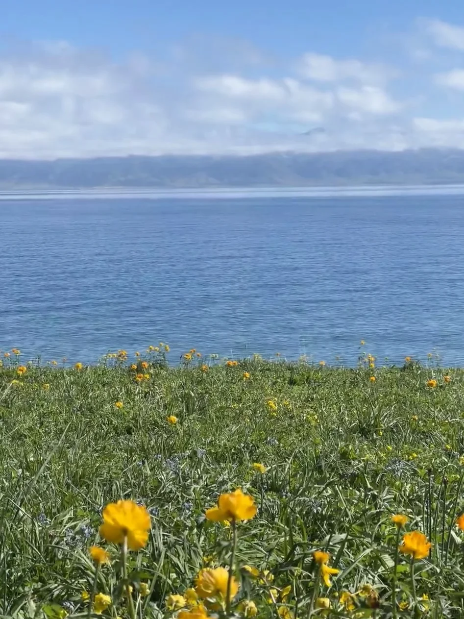💬“新疆的辽阔，是连风都自由的地方。”